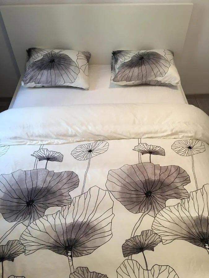 Orion Hostel Krakau Polen